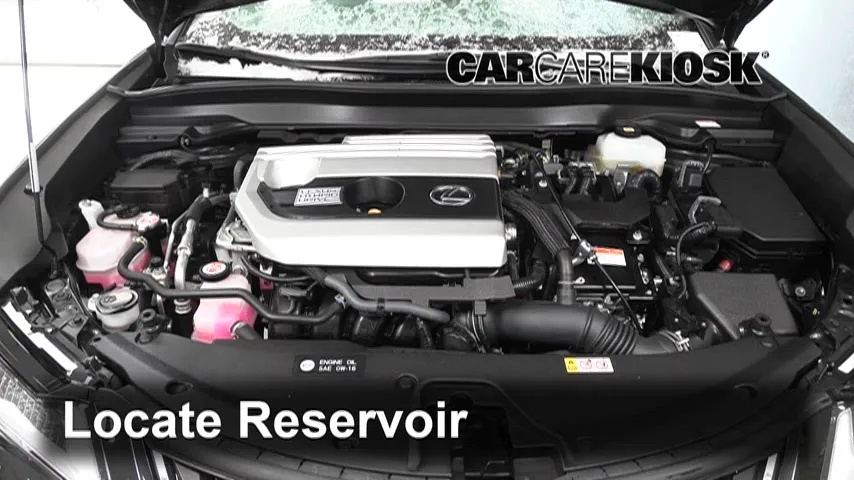 2021 Lexus UX250h 2.0L 4 Cyl. Líquido limpiaparabrisas